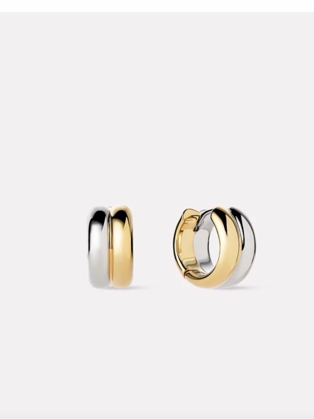 NWT Ana Luisa Asher Bold Earring